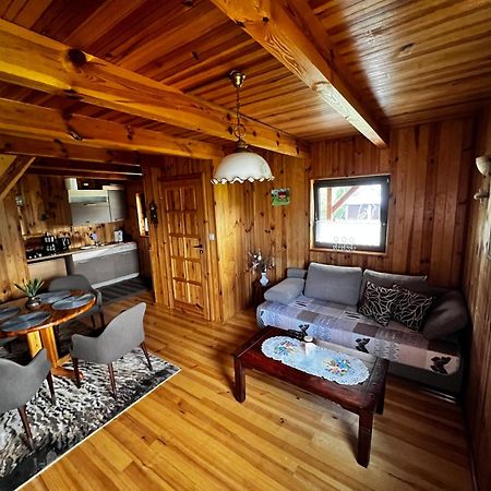 Domek U Karkonosza Villa Kamienna Gora Exterior foto